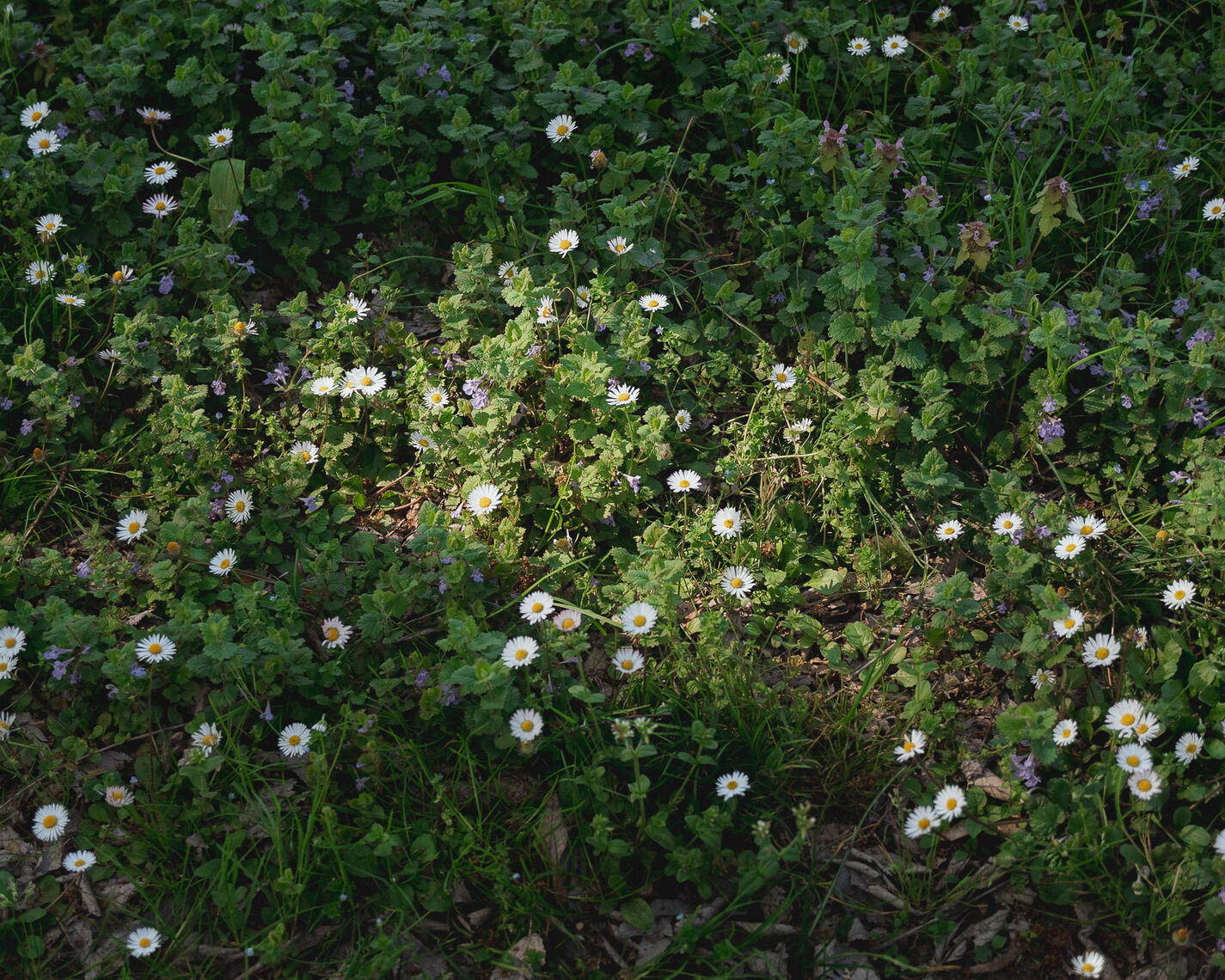 Untitled Untitled